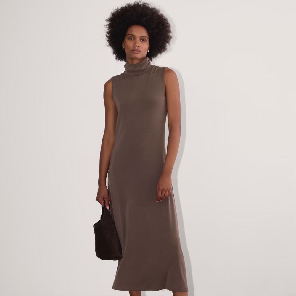 NWT Everlane Madison Dress